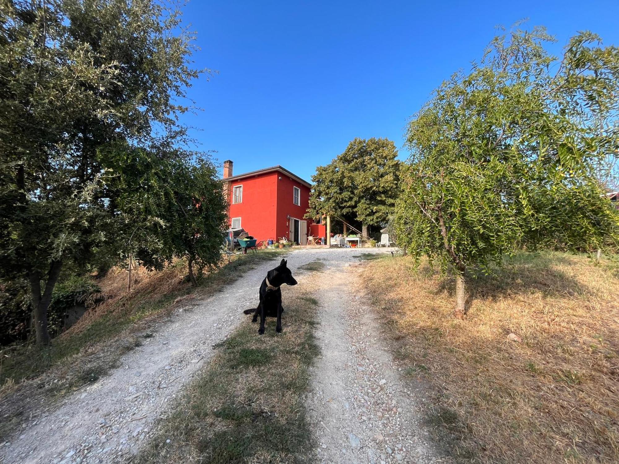 Podere Orzale Agri Hospitality Usigliano Exterior foto